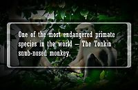 TopRq.com search results: interesting facts about animals
