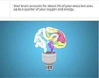 TopRq.com search results: interesting facts about brain