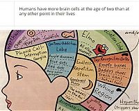 TopRq.com search results: interesting facts about brain