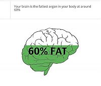 TopRq.com search results: interesting facts about brain