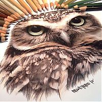 TopRq.com search results: Photorealistic drawing illustrations and tools by Karla Mialynne