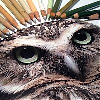 TopRq.com search results: Photorealistic drawing illustrations and tools by Karla Mialynne