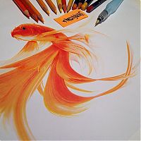 TopRq.com search results: Photorealistic drawing illustrations and tools by Karla Mialynne