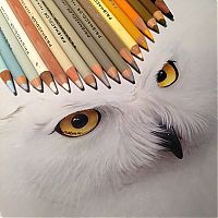 TopRq.com search results: Photorealistic drawing illustrations and tools by Karla Mialynne