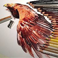 Art & Creativity: Photorealistic drawing illustrations and tools by Karla Mialynne