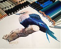 Art & Creativity: Photorealistic drawing illustrations and tools by Karla Mialynne