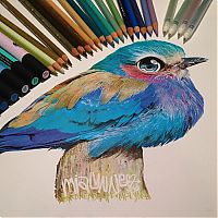 Art & Creativity: Photorealistic drawing illustrations and tools by Karla Mialynne