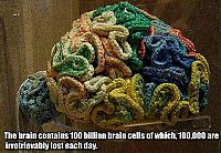 Art & Creativity: interesting facts about brain