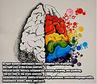 Art & Creativity: interesting facts about brain