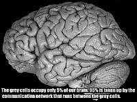 Art & Creativity: interesting facts about brain