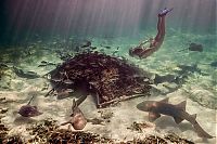 Art & Creativity: underwater girl portrait