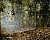 TopRq.com search results: Realm project, Timespan, Scotland by Carolyn Lefley