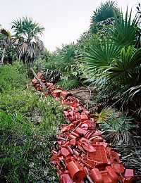 Art & Creativity: Washed Up: Transforming a Trashed Landscape by Alejandro Durán