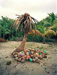 Art & Creativity: Washed Up: Transforming a Trashed Landscape by Alejandro Durán