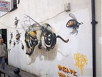 TopRq.com search results: Save the Bees Project by Louis Masai Michel