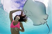 Mermaid and the stingray underwater photography by Christian Coulombe