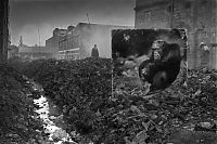 Inherit the Dust, East Africa urbanisation photography by Nick Brandt