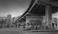 Art & Creativity: Inherit the Dust, East Africa urbanisation photography by Nick Brandt