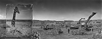 Art & Creativity: Inherit the Dust, East Africa urbanisation photography by Nick Brandt