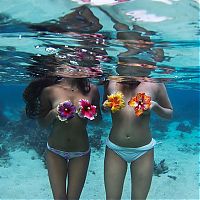 Art & Creativity: Underwater photography by Rava Ray