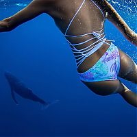 TopRq.com search results: Underwater photography by Rava Ray