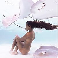 TopRq.com search results: Underwater photography by Rava Ray