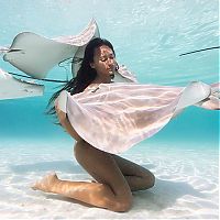 TopRq.com search results: Underwater photography by Rava Ray