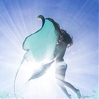 TopRq.com search results: Underwater photography by Rava Ray