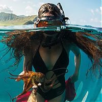 TopRq.com search results: Underwater photography by Rava Ray