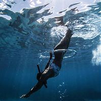 TopRq.com search results: Underwater photography by Rava Ray