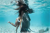 TopRq.com search results: Underwater photography by Rava Ray