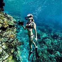 TopRq.com search results: Underwater photography by Rava Ray