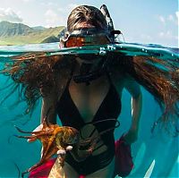 Underwater photography by Rava Ray