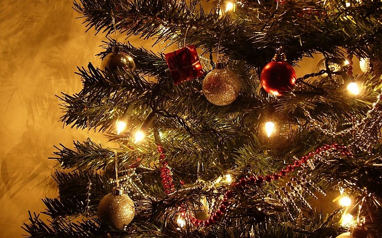 christmas card and decoration