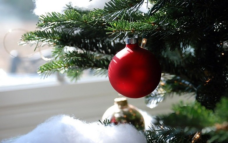 christmas card and decoration