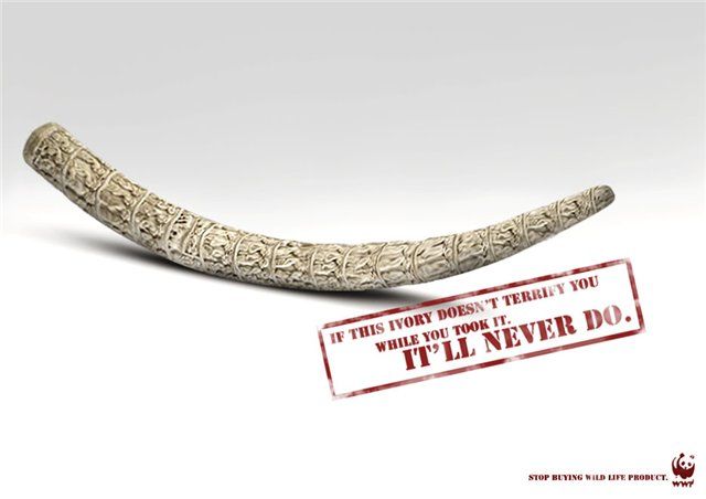 World Wildlife Fund (WWF) campaign