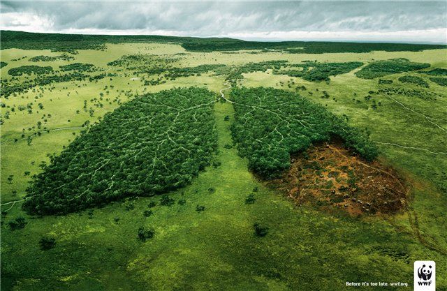 World Wildlife Fund (WWF) campaign