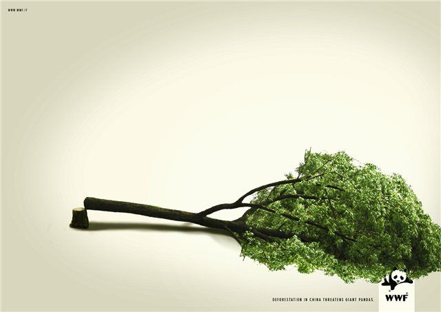 World Wildlife Fund (WWF) campaign