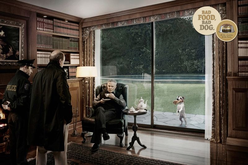 bad food, bad dog advertisement