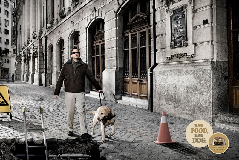 bad food, bad dog advertisement