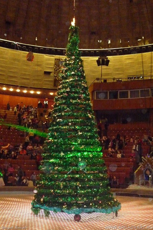 Christmas tree, Moscow, Russia