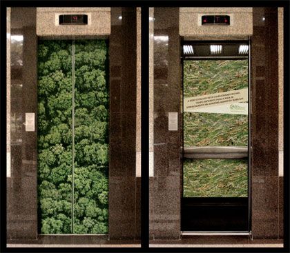 Creative elevators