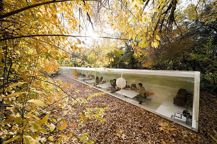 Spanish office in the woods