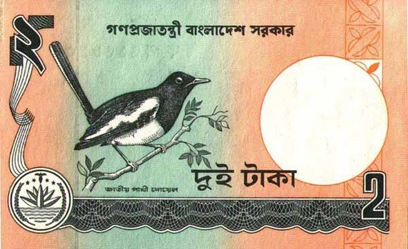 paper money around the world