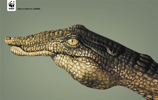 Greenpeace ads