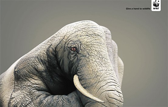 Greenpeace ads