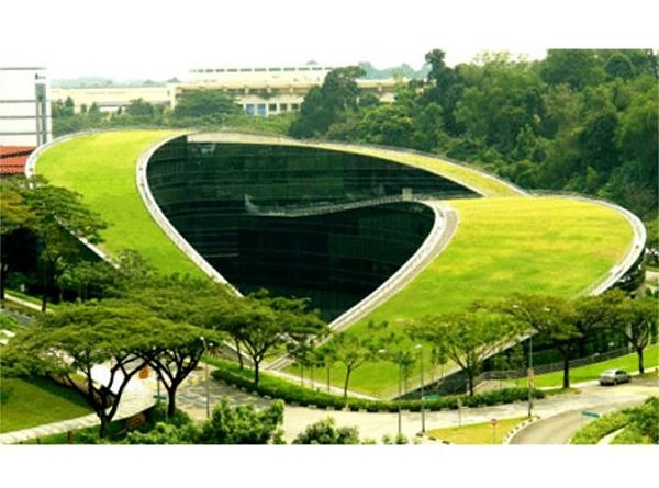 green roofs