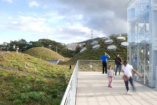 green roofs