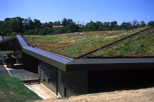 green roofs