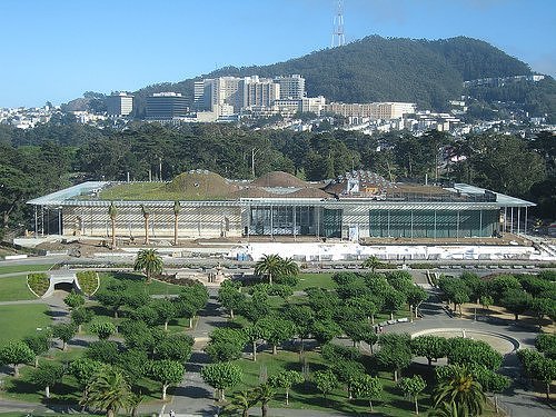 green roofs